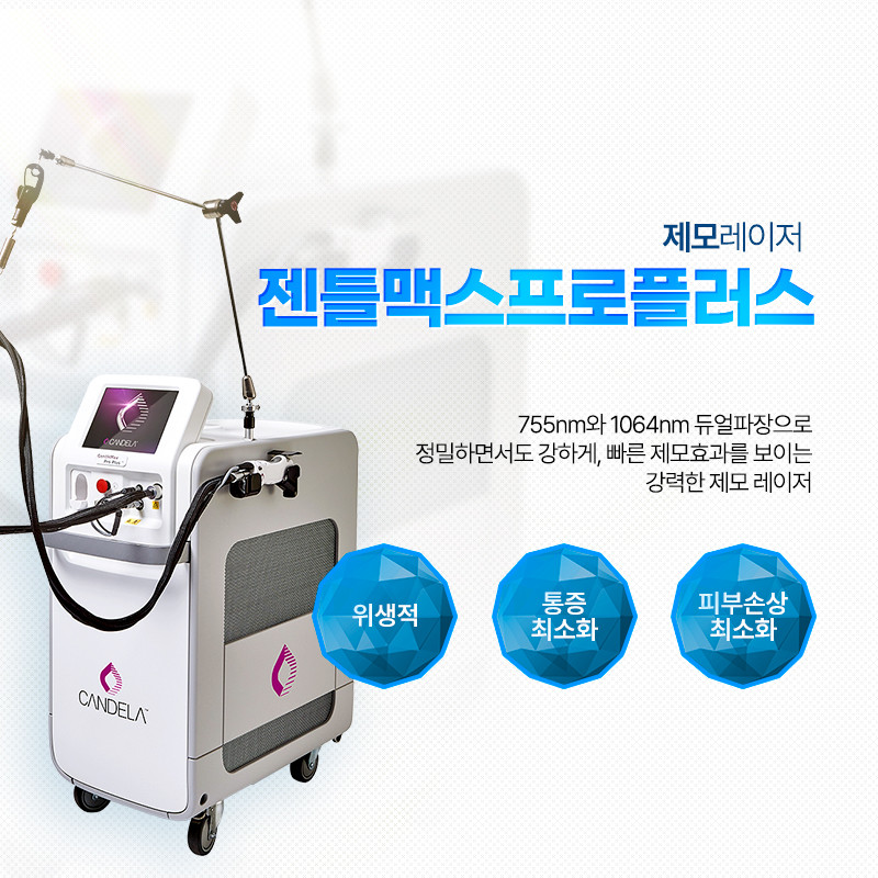 젠틀맥스프로플러스 - 대구동성로점